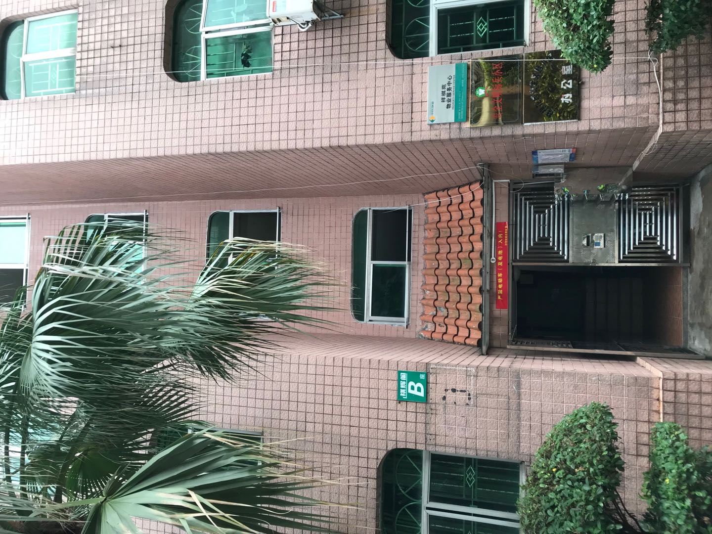 深圳开心喵民宿