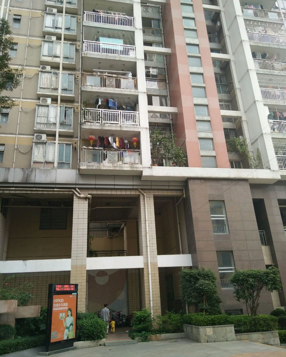 深圳三年级二班青年旅社