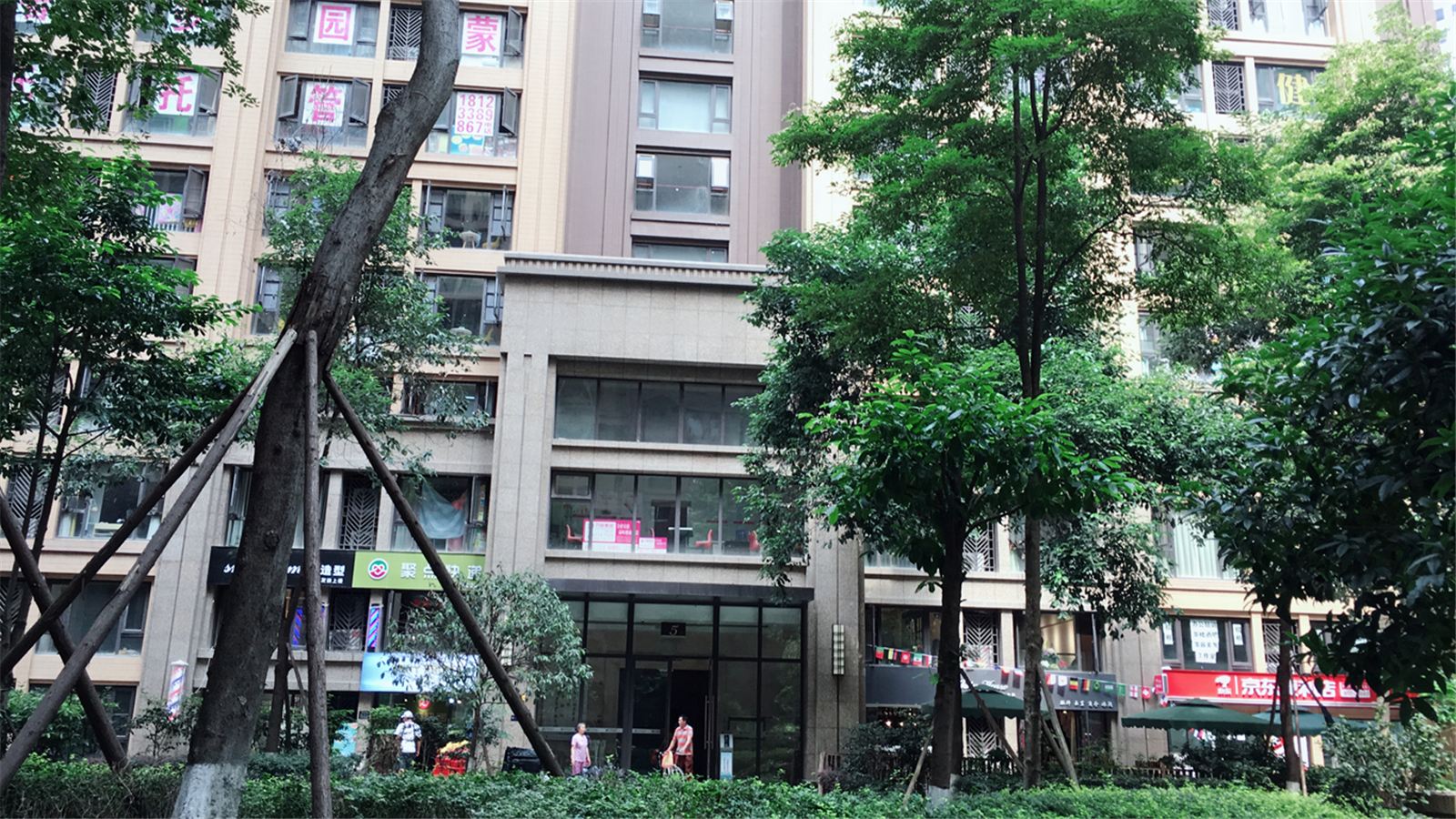 外观