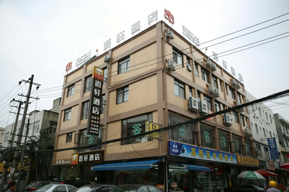 外观
