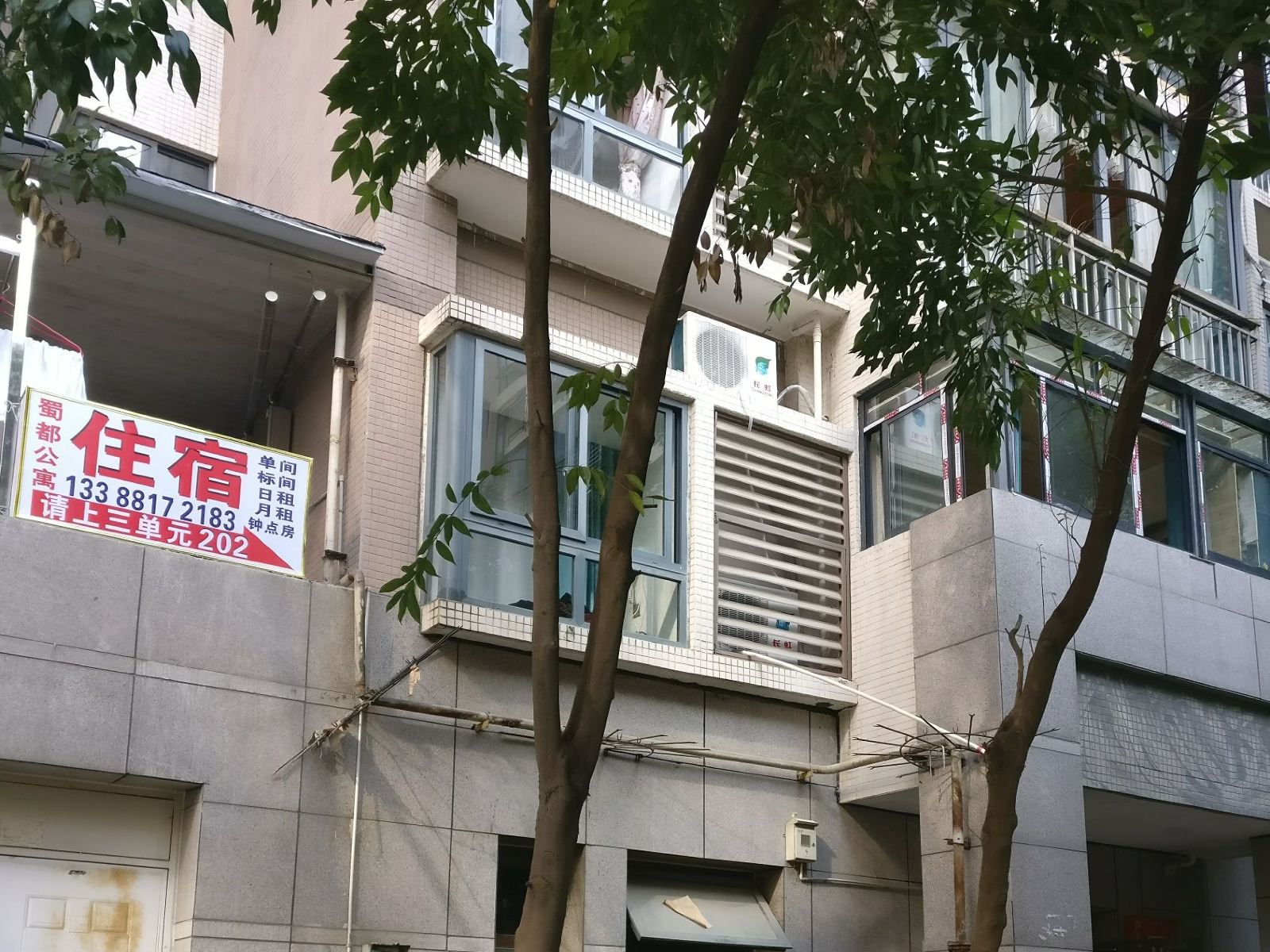 外观
