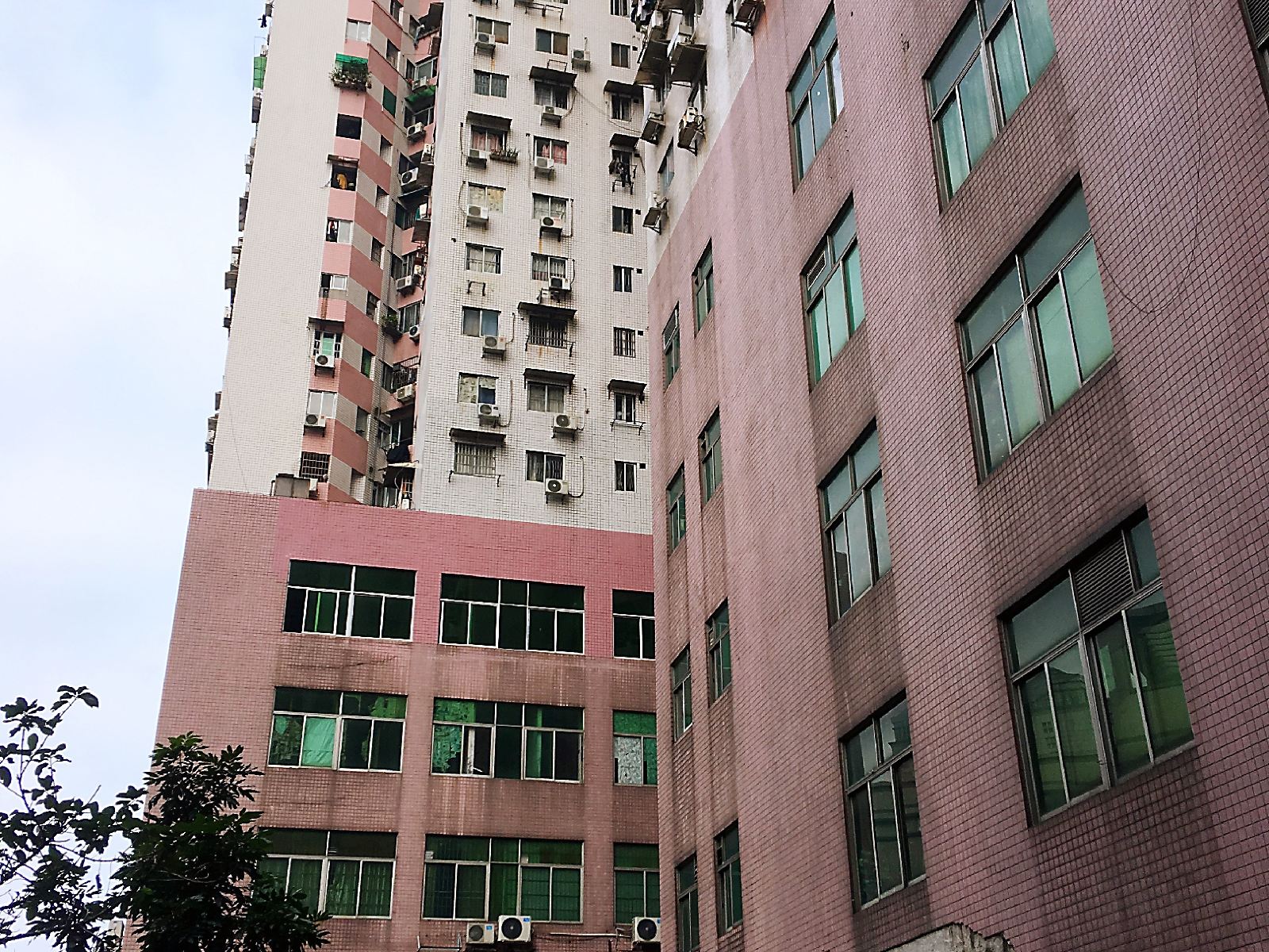 广州得闲青年旅舍