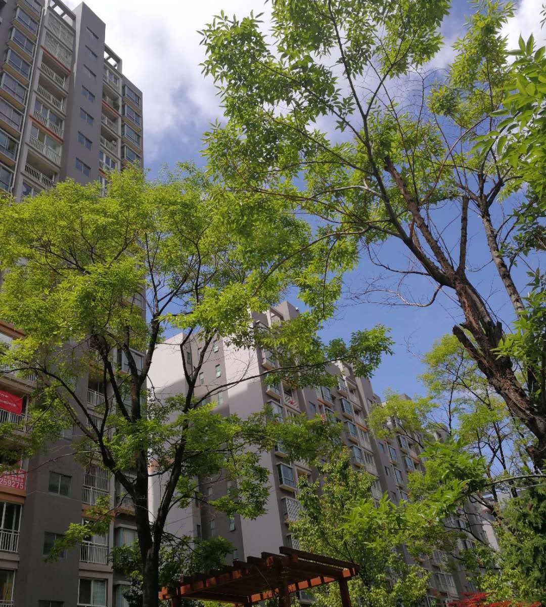 昆明清清公寓