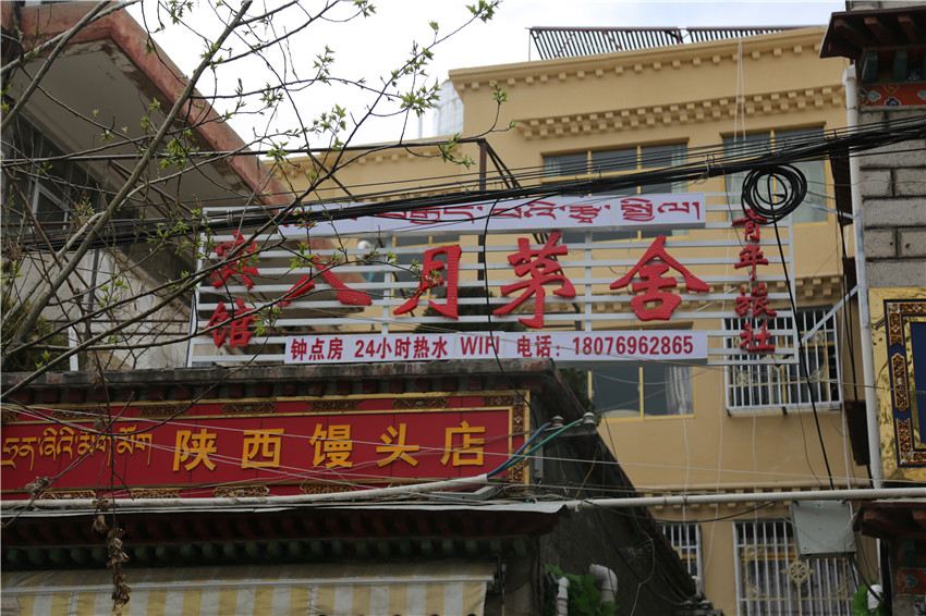 拉萨八月茅舍青年旅社