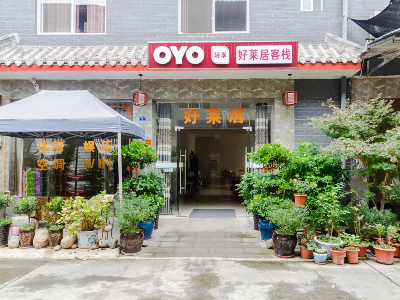 外观