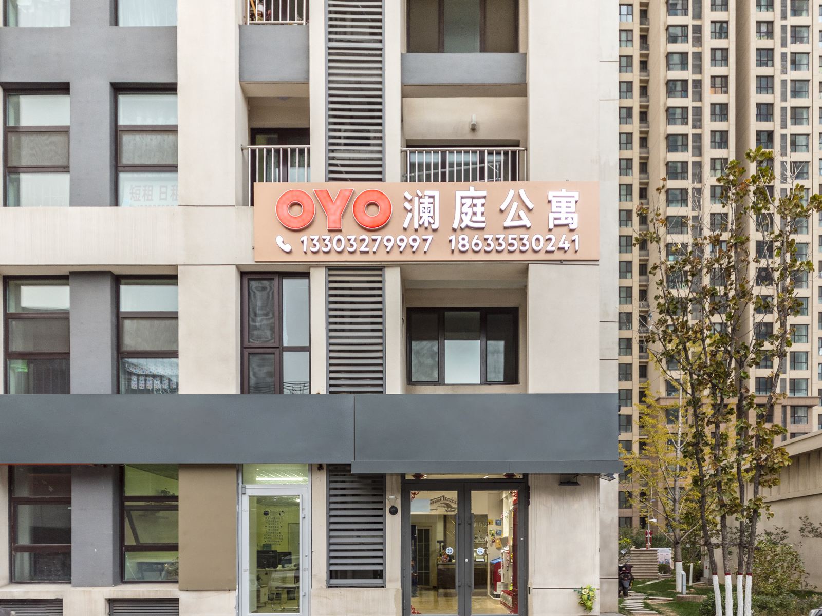 外观