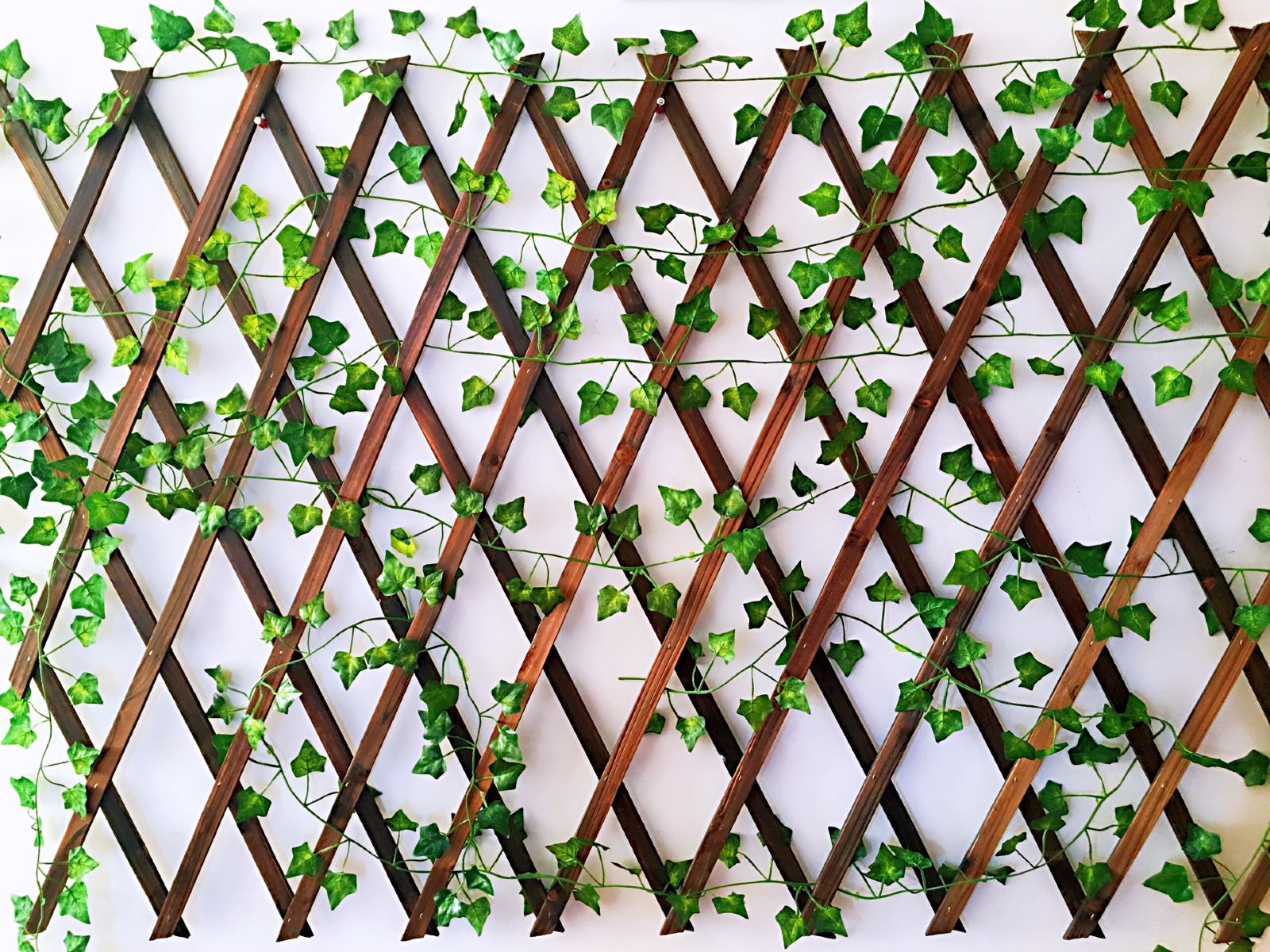 泉州倾城时光青年旅舍