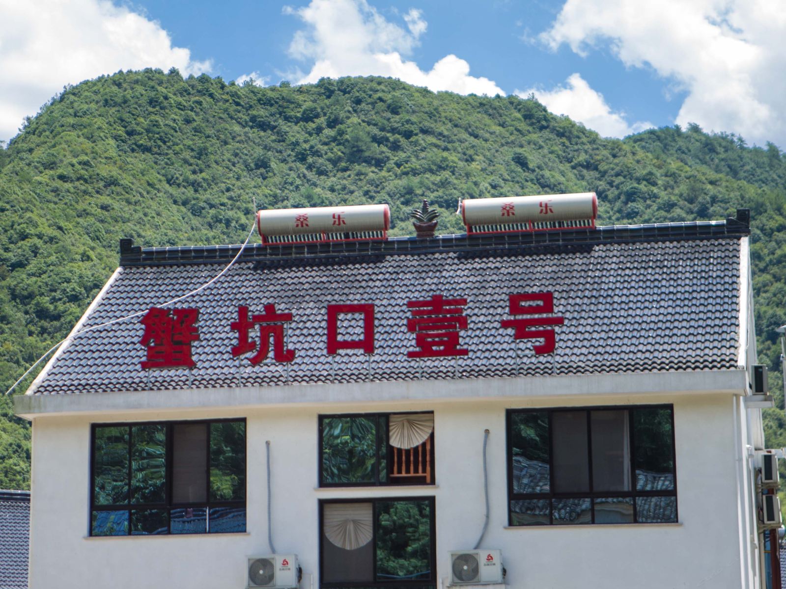 外观