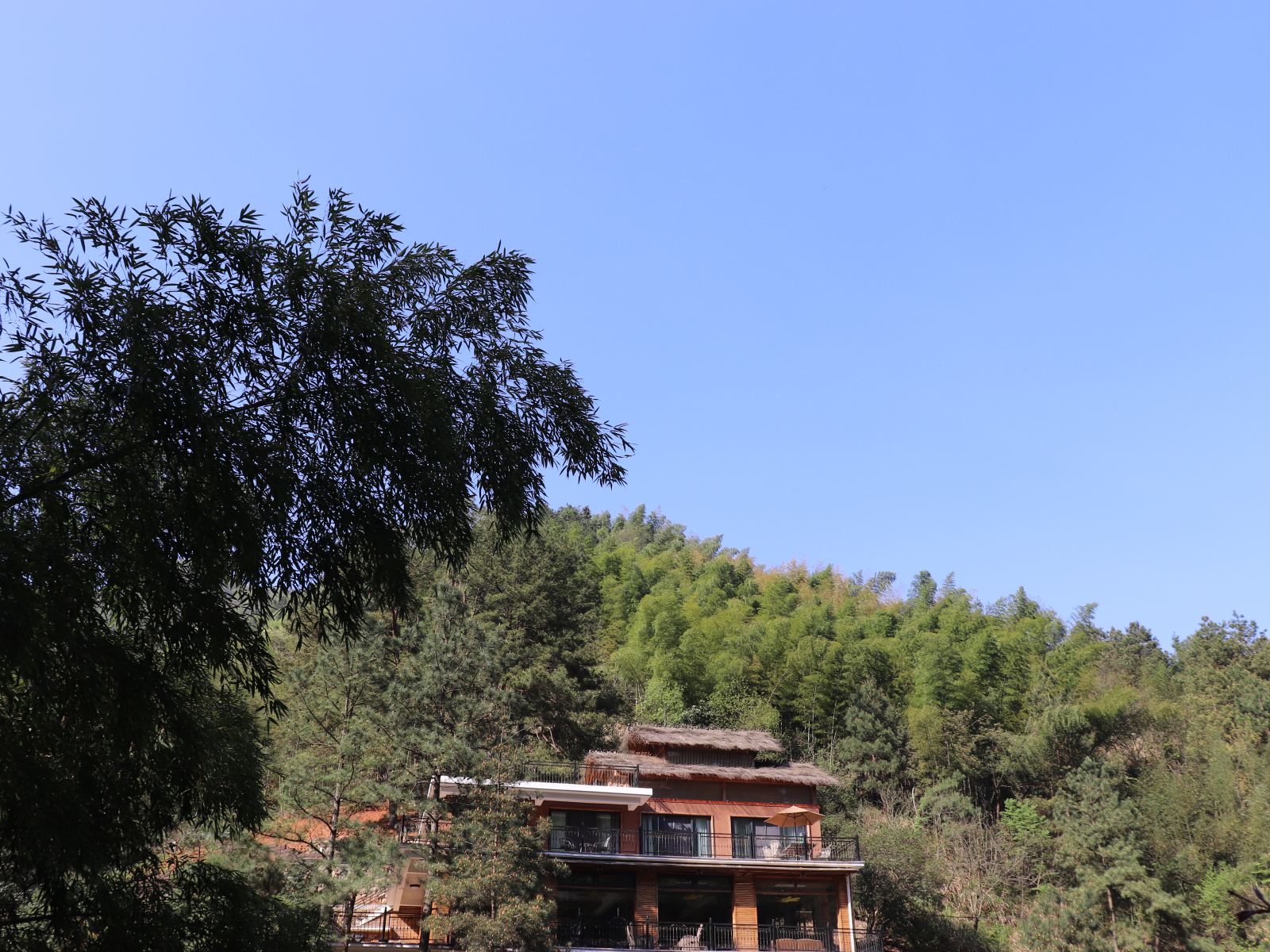 桐庐瑶山谷民宿