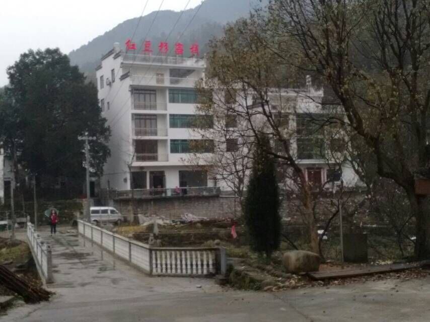 婺源红豆杉客栈