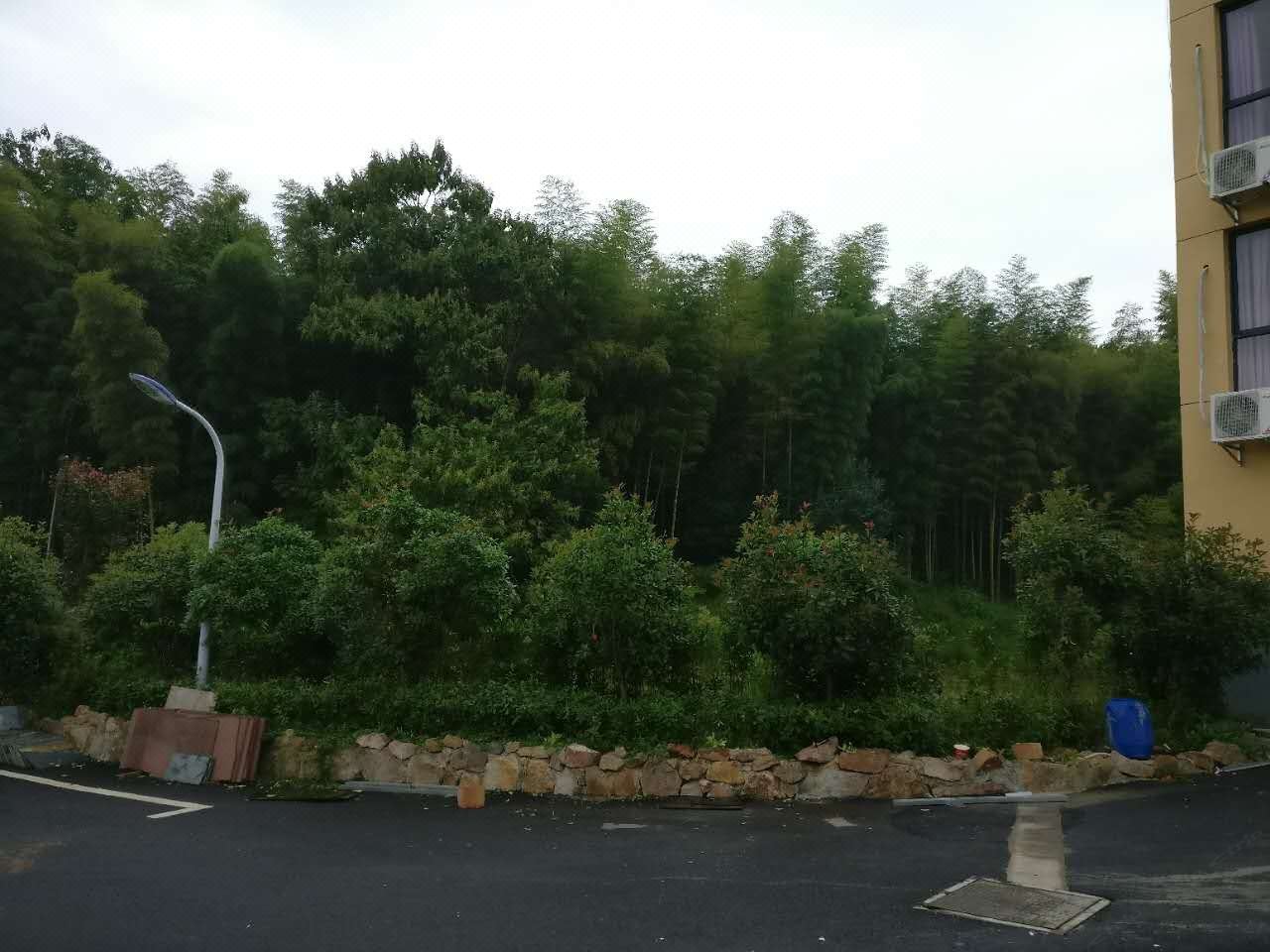 天目湖旅游度假区青泉茶宿