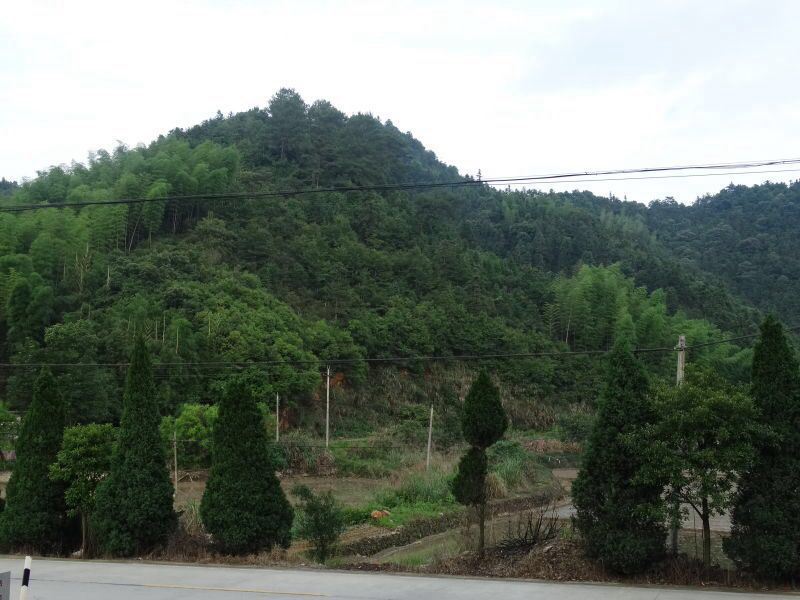 德兴萱香阁