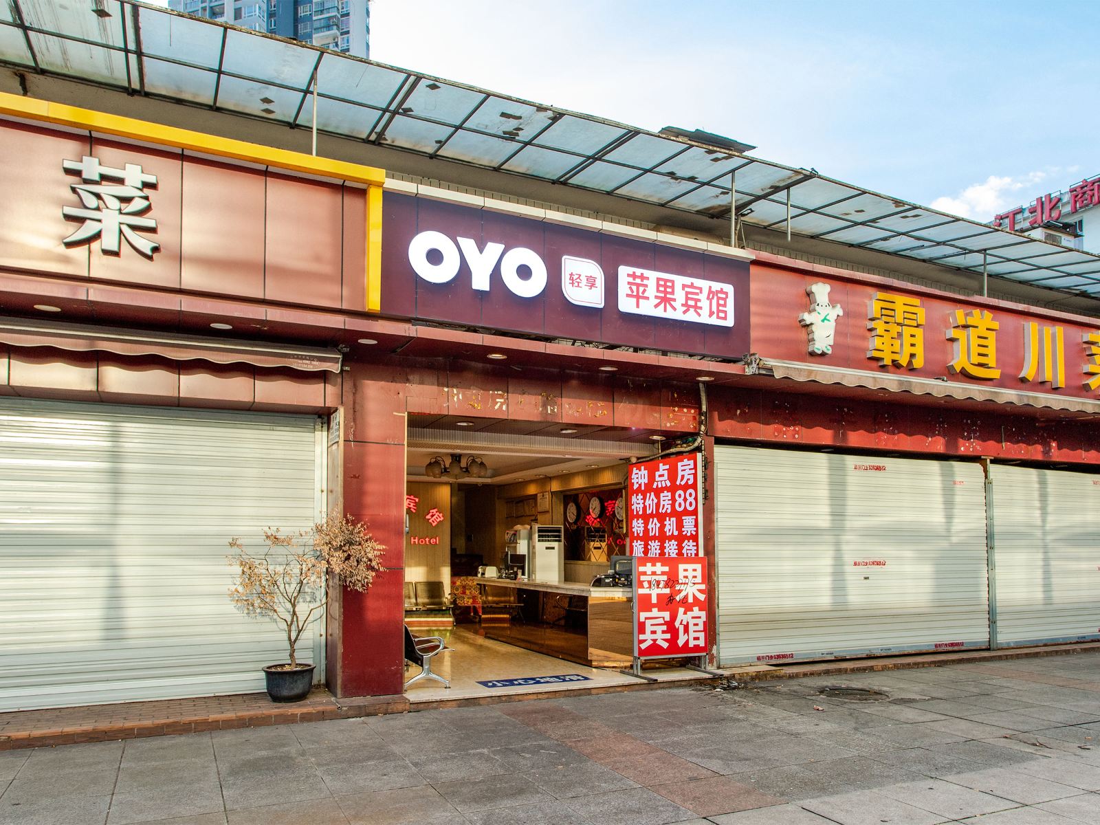 外观
