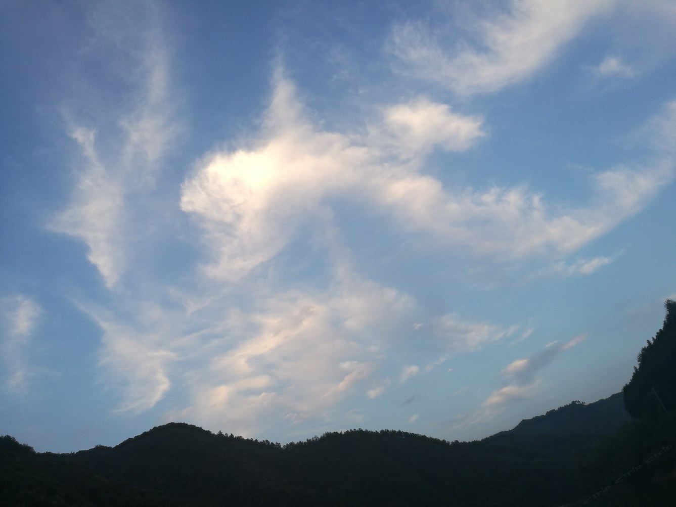 其他