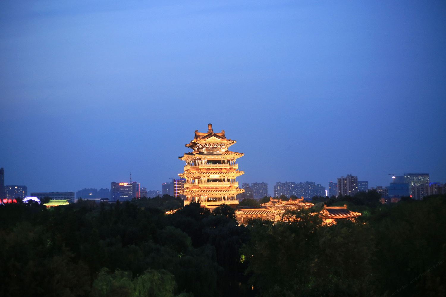 其他