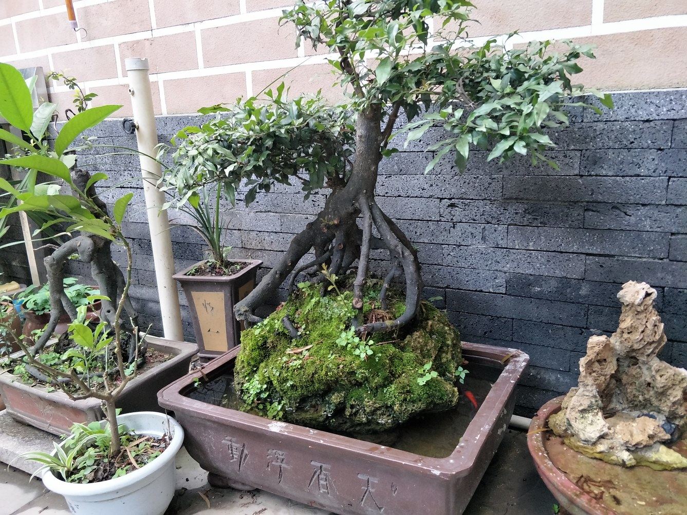 其他