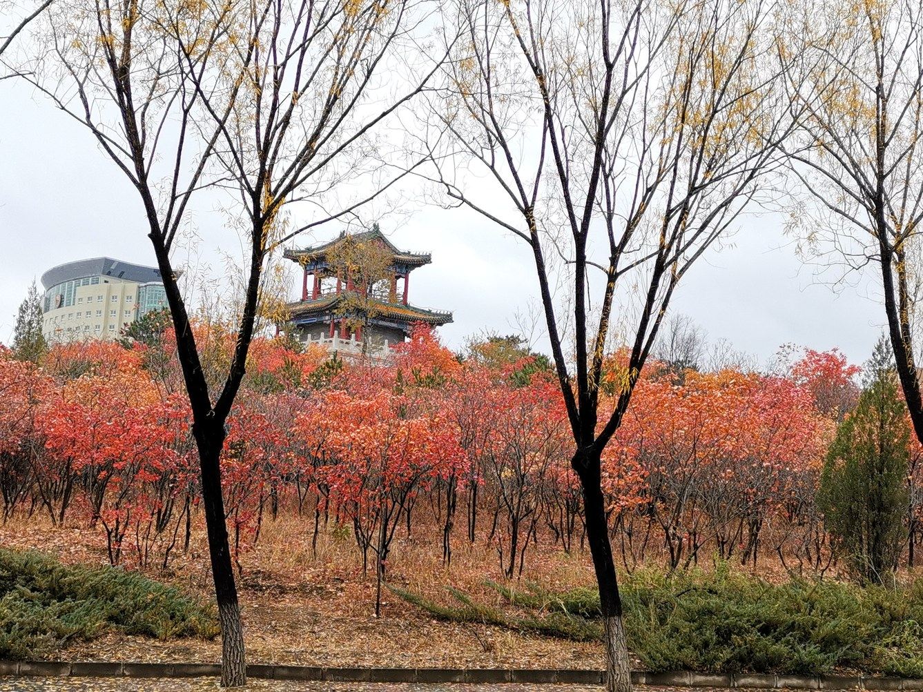其他