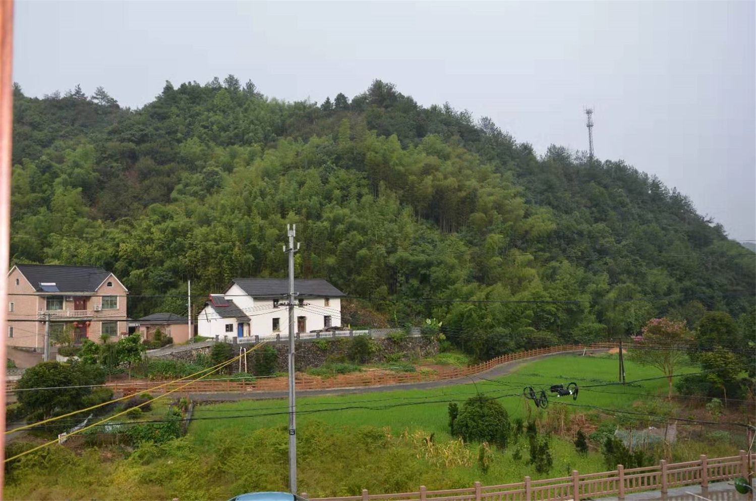 杭州桐庐三古榧王居特色民宿