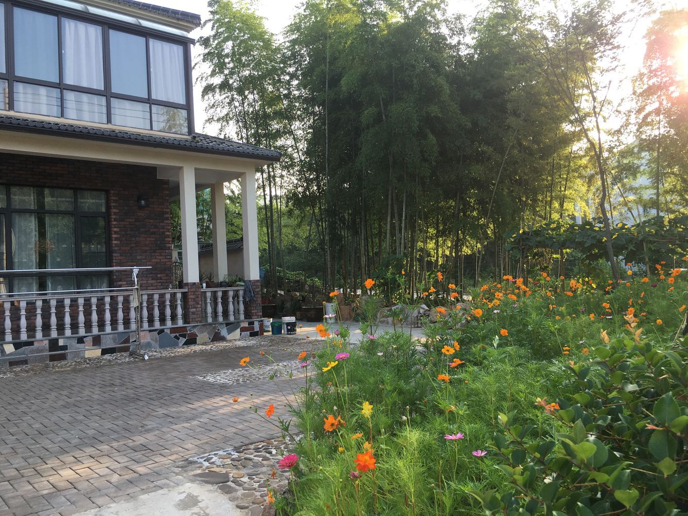 无锡青藤儿公寓(2号店)