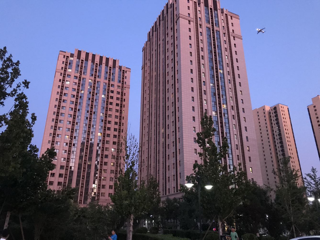 其他
