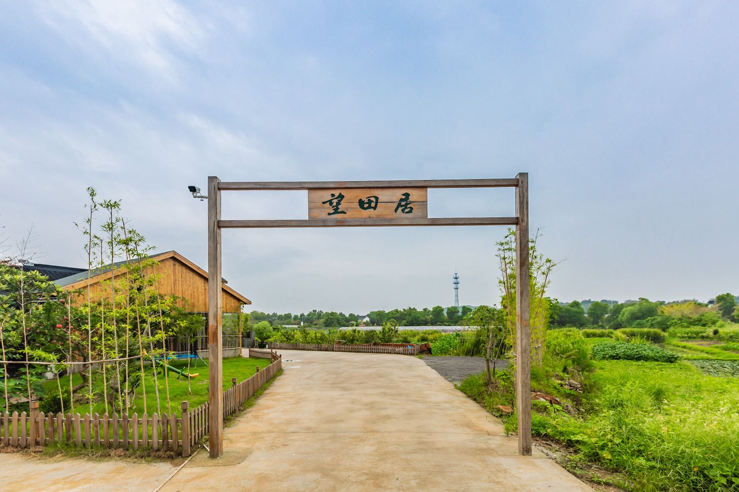 其他