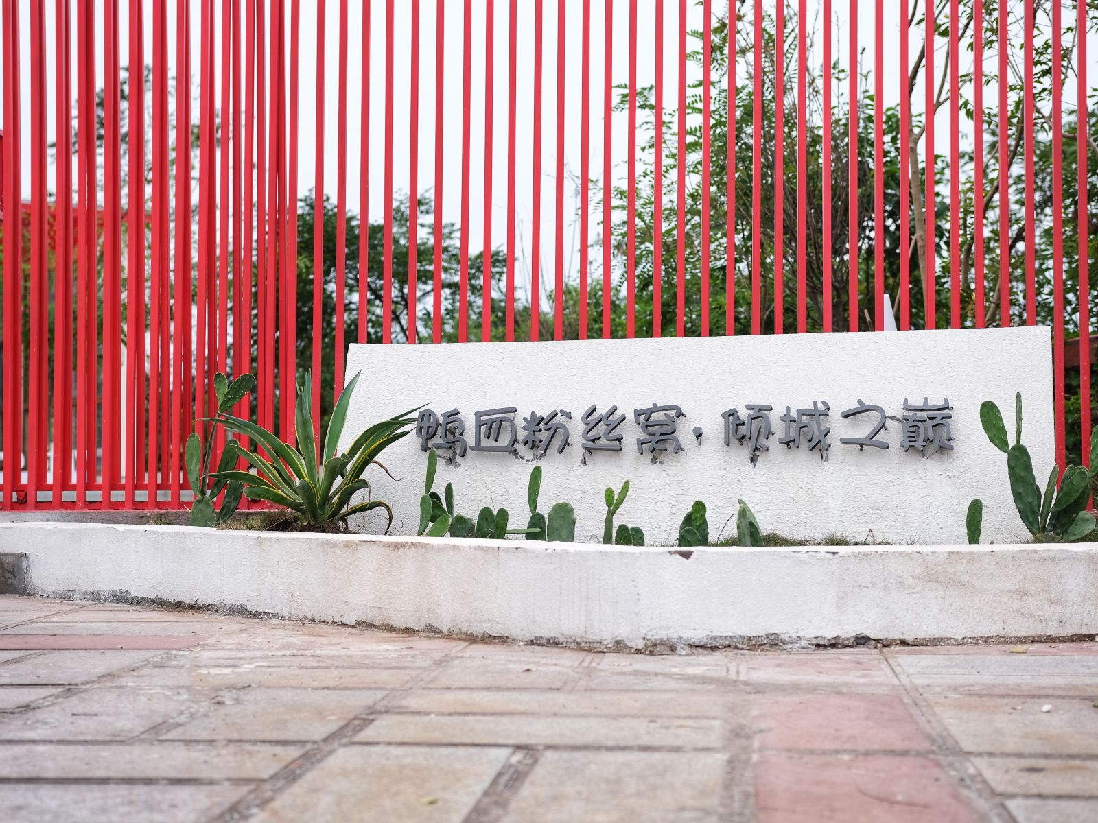 重庆鸭血粉丝窝·倾城之巅民宿