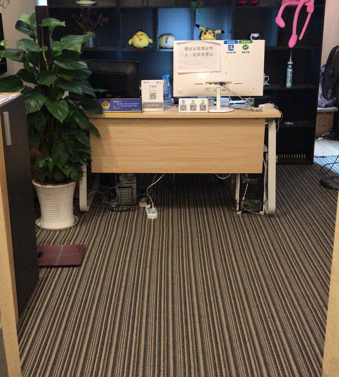 公共区域