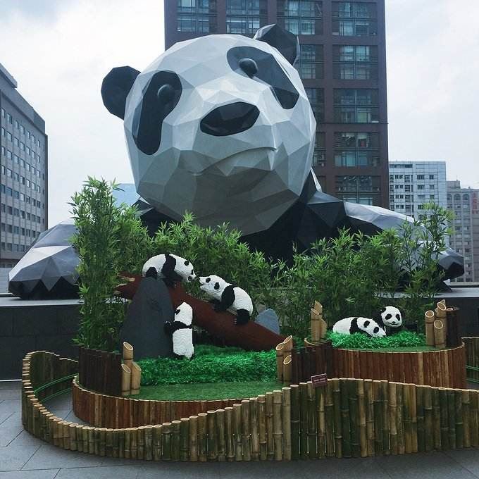 公共区域
