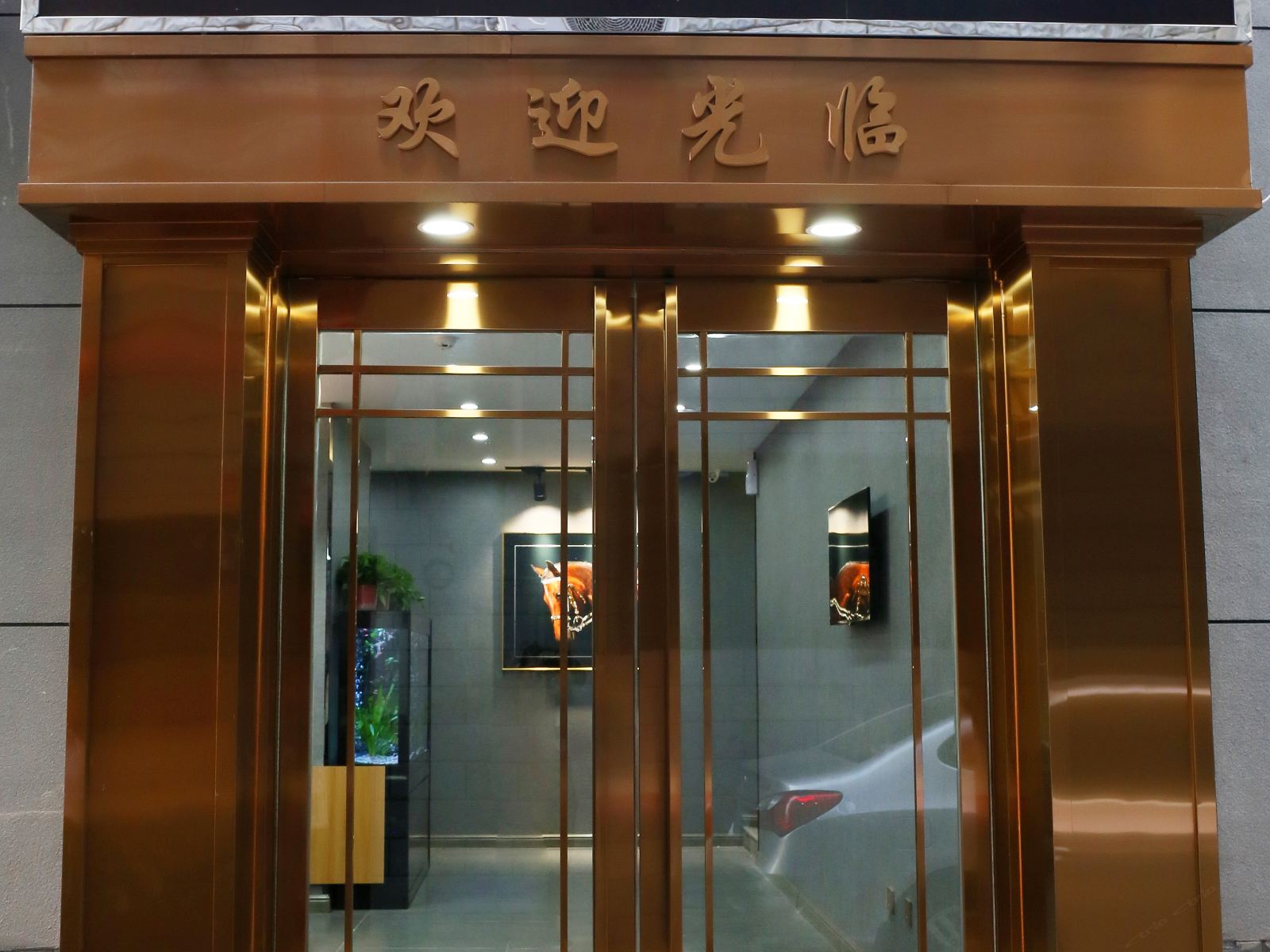 外观