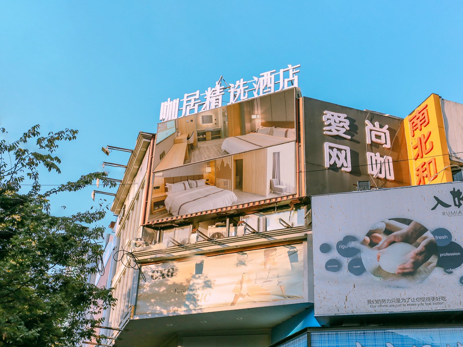 外观