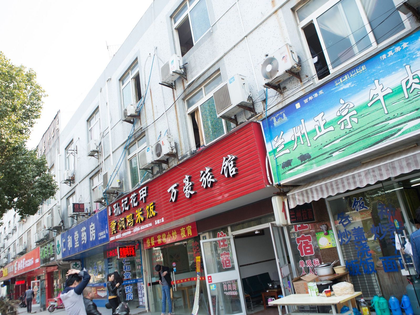 外观