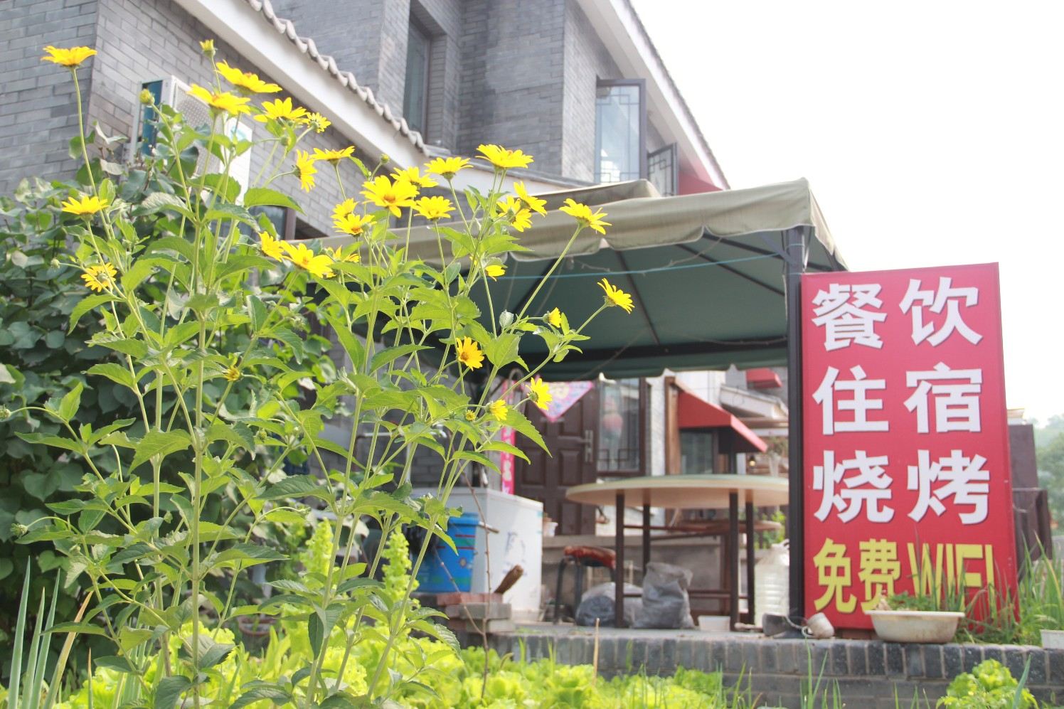 外观