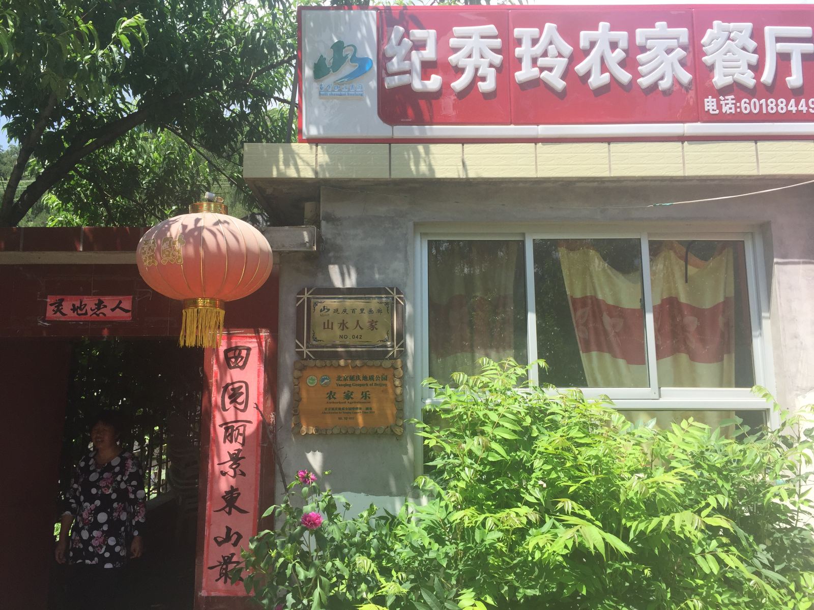 外观