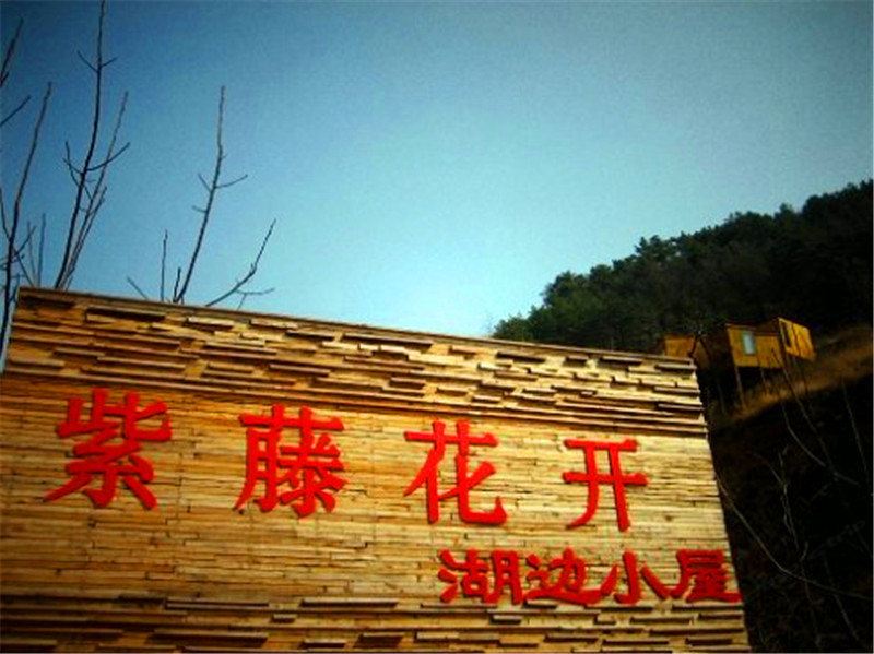 北京金海湖紫藤花开湖边小屋