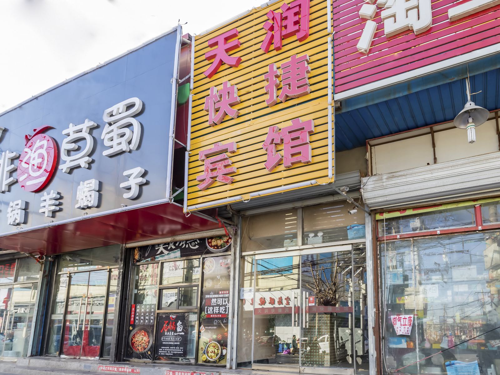外观