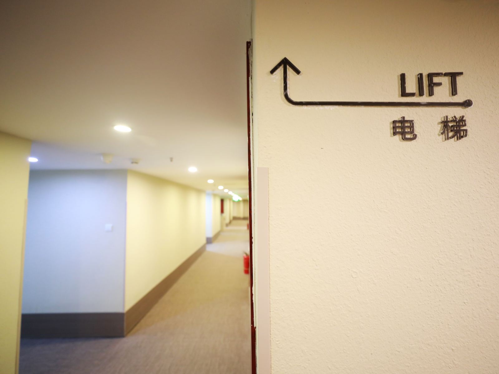 公共区域