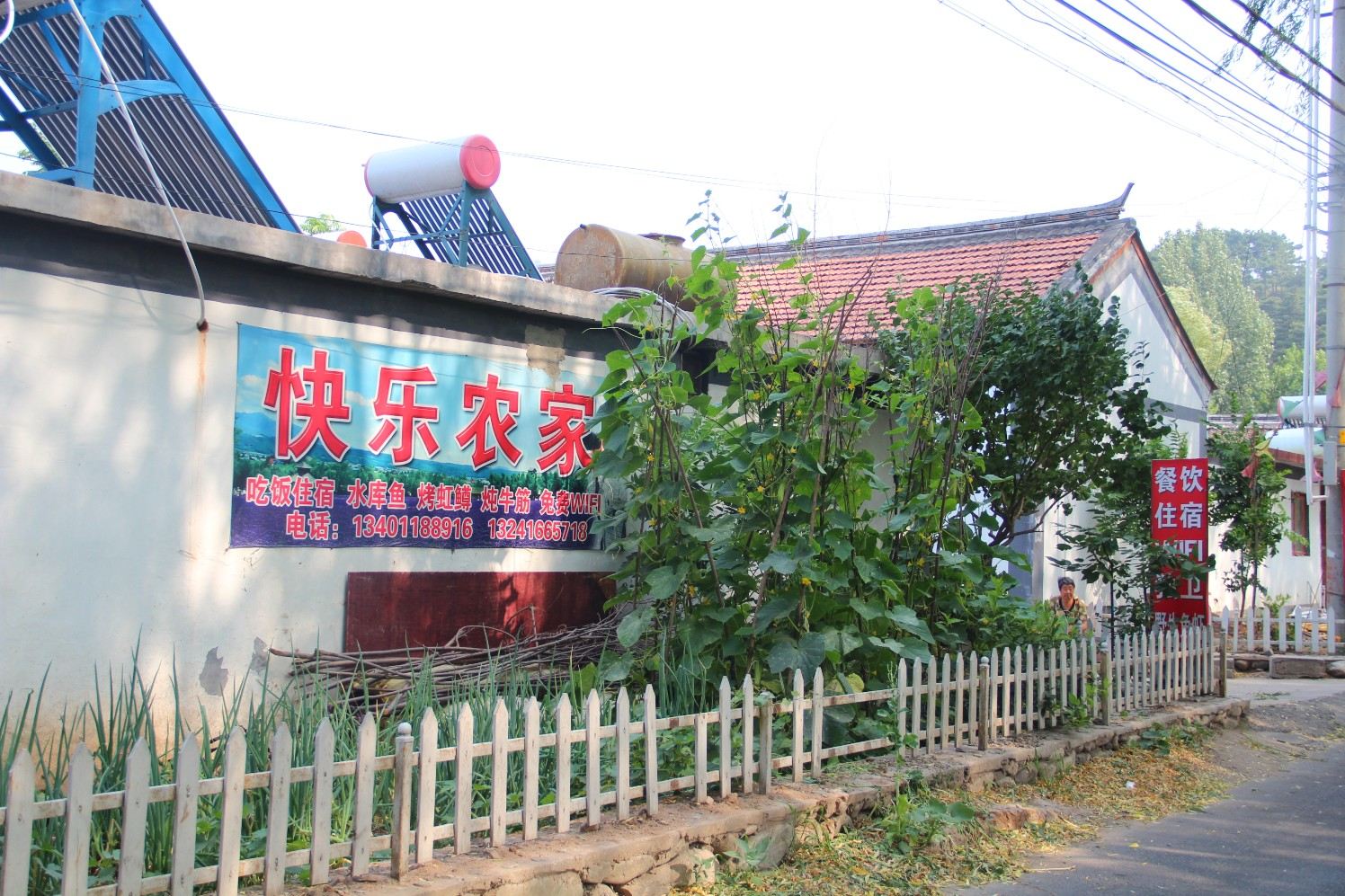 外观
