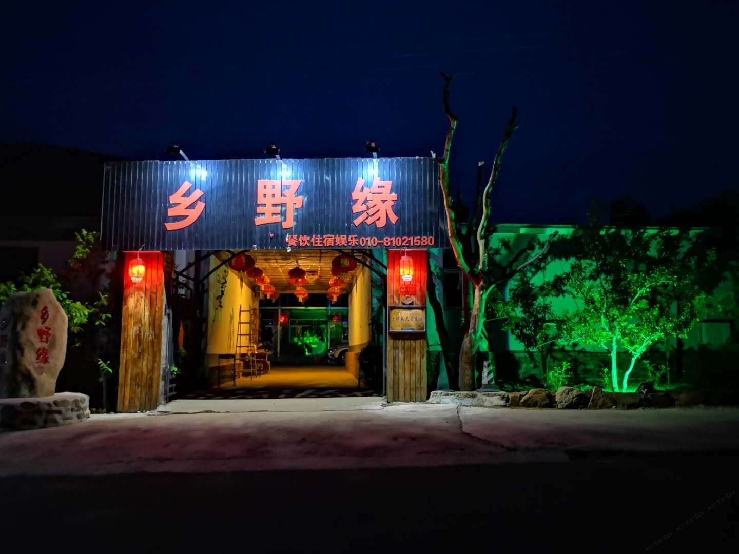 外观