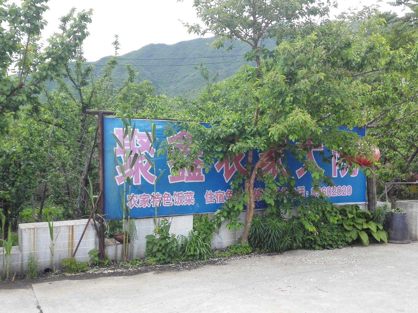 公共区域