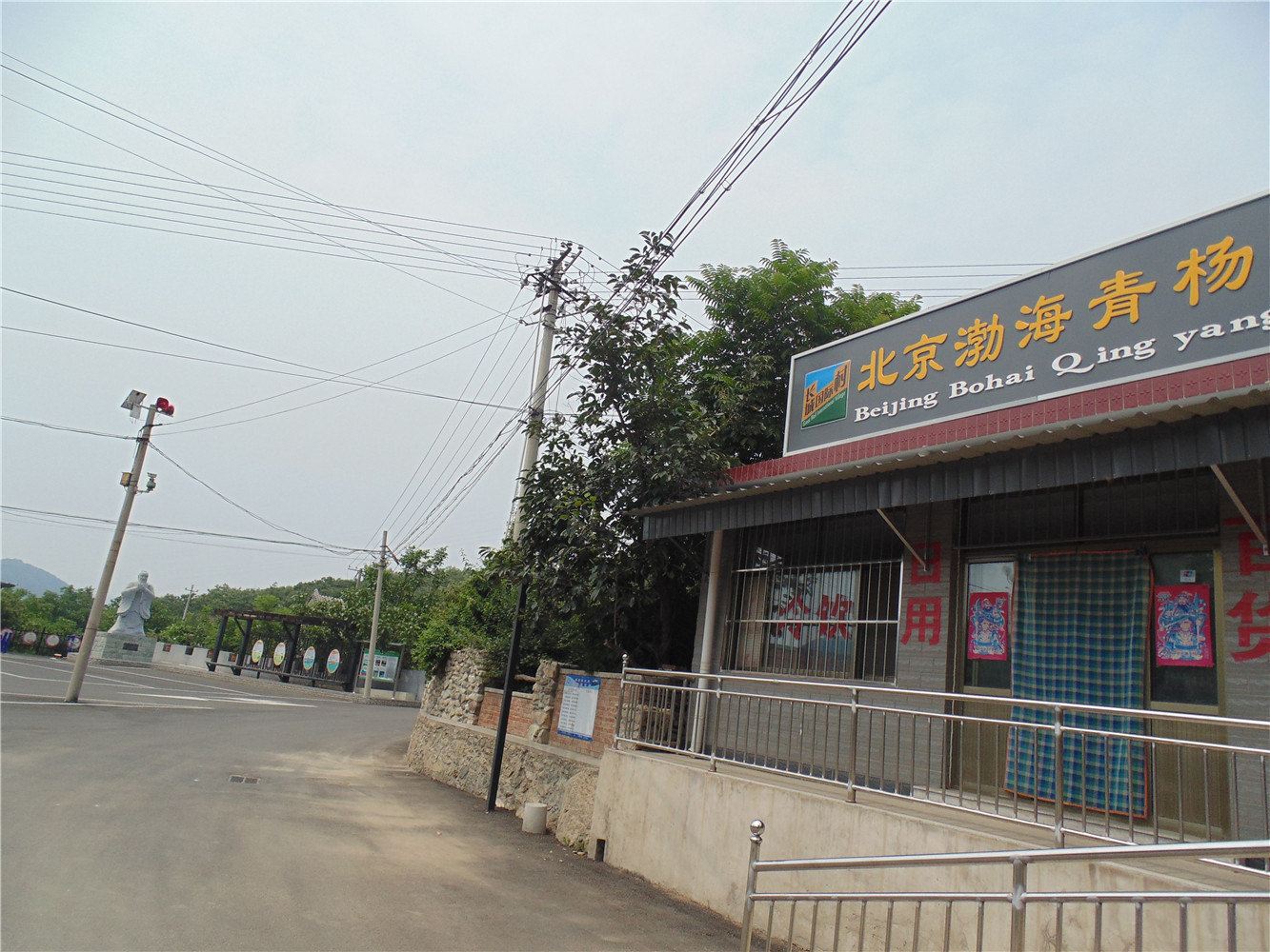 北京渤海青杨农家院