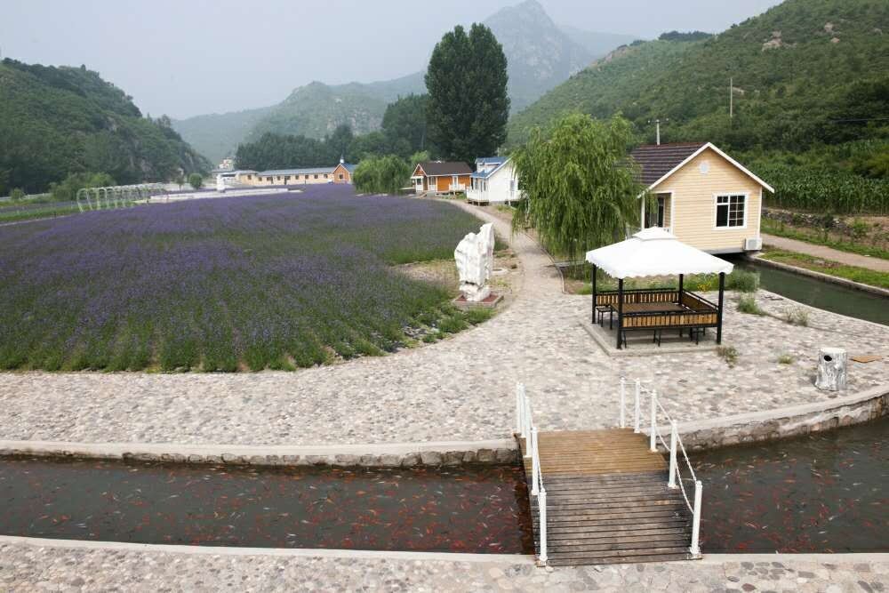 北京花海木屋酒店