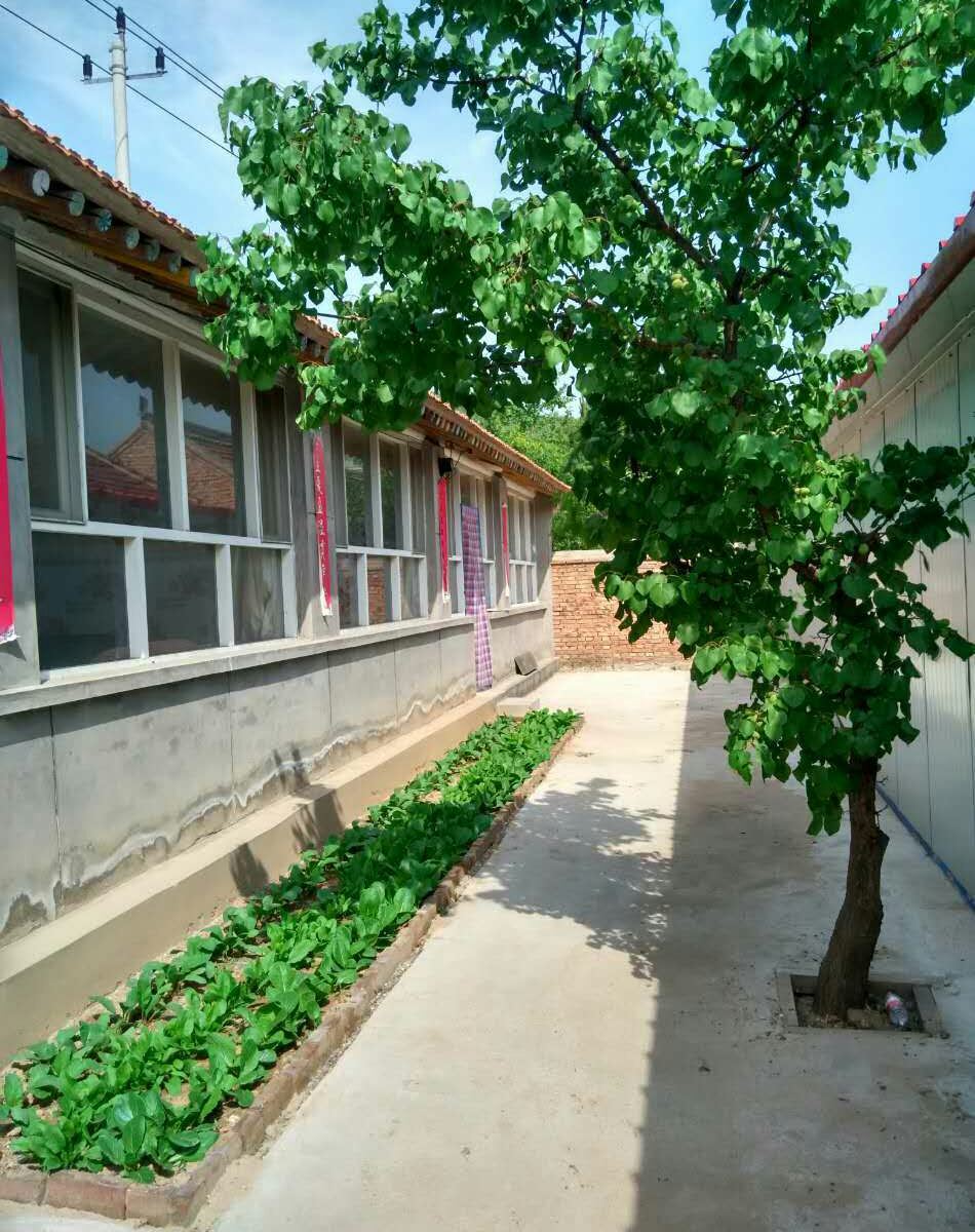 北京老农农家院