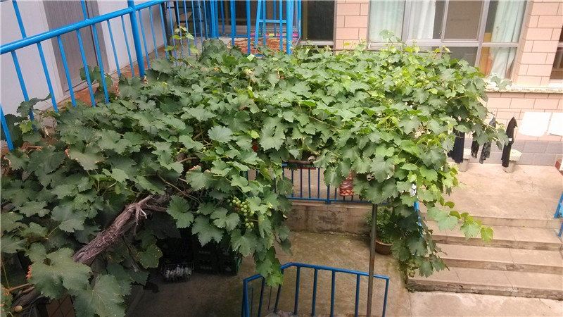北京金海湖休闲农家院