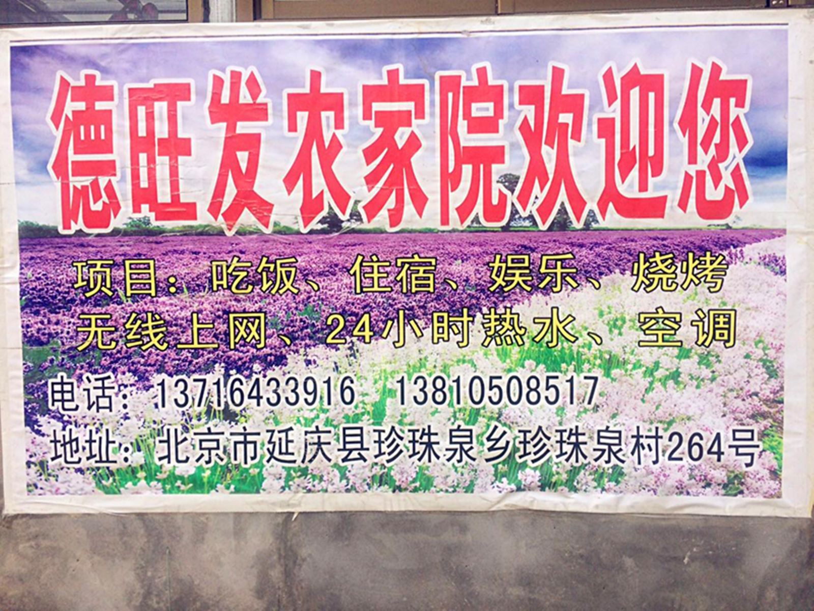 其他