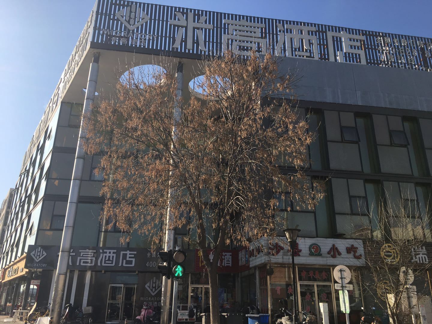 外观