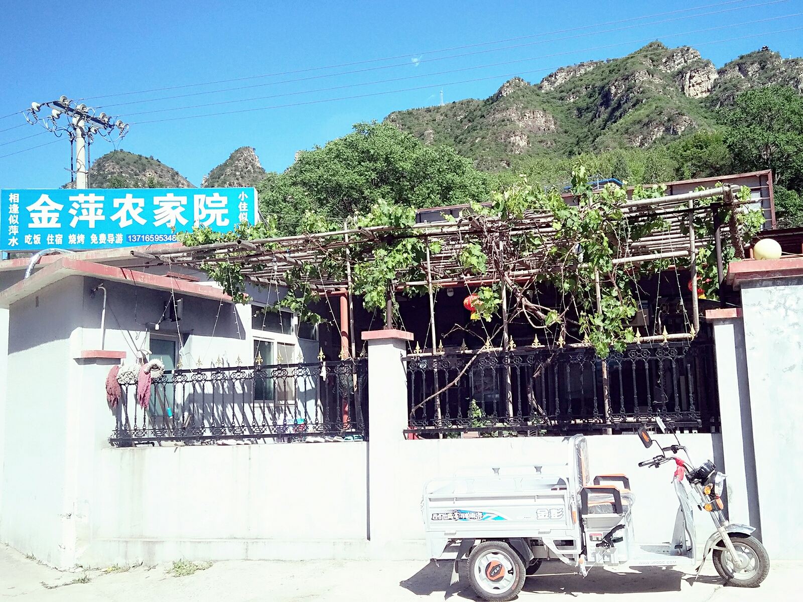 外观