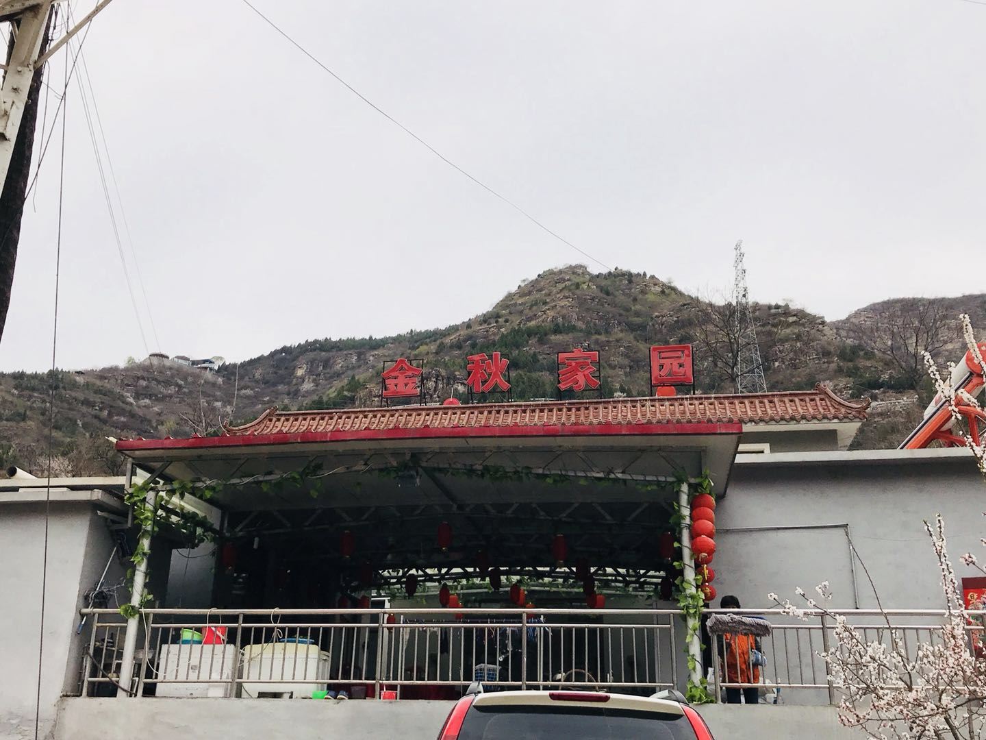 外观