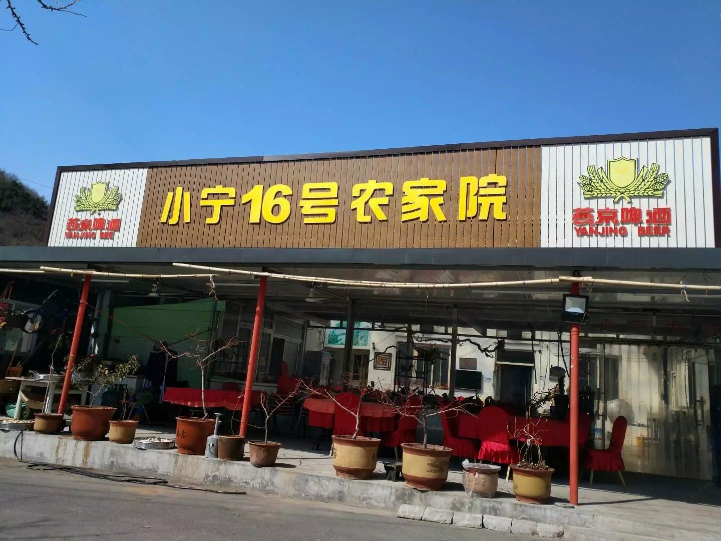 外观