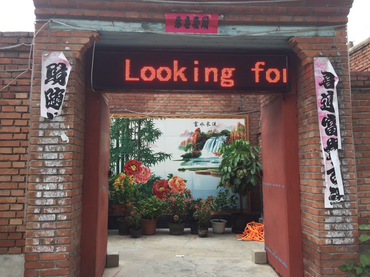 外观