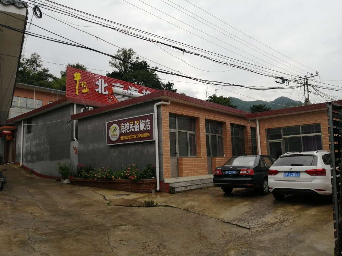 其他